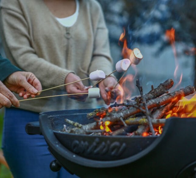 2 Dessertvorschläge vom Grill